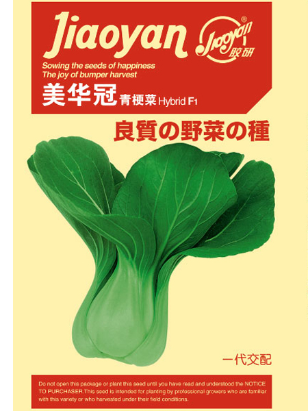 美华冠青梗菜——油菜